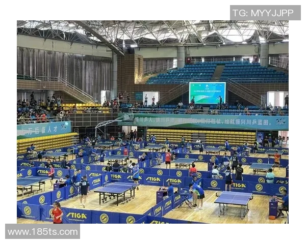 成都乒乓球队最新比赛经验分享TOP10助力乒乓球爱好者提升技巧 成都乒乓球队最新比赛经验分享TOP10助力乒乓球爱好者提升技巧