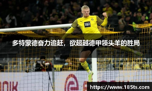 XK体育