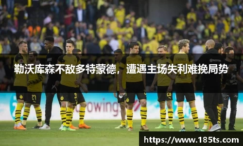 XK体育